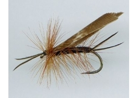 Giant Stone Dry Fly