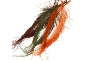 Pióra Mieczowe Pawia kolor / Peacock Sword Bleached