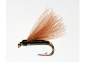 F-Fly Brown
