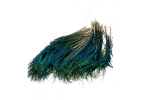 Peacock sword tails / Paw Pióra Mieczowe 